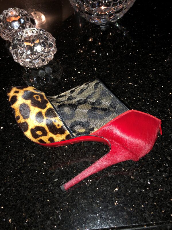 Louboutin Shoes - Image 4